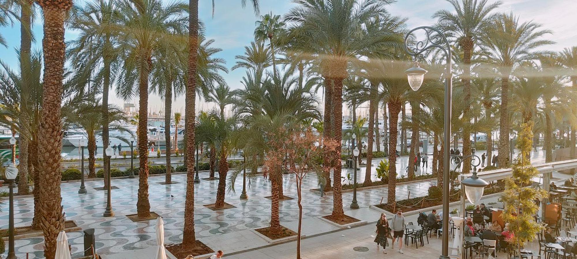 Alicantissima Marina & Beach Alicante Extérieur photo